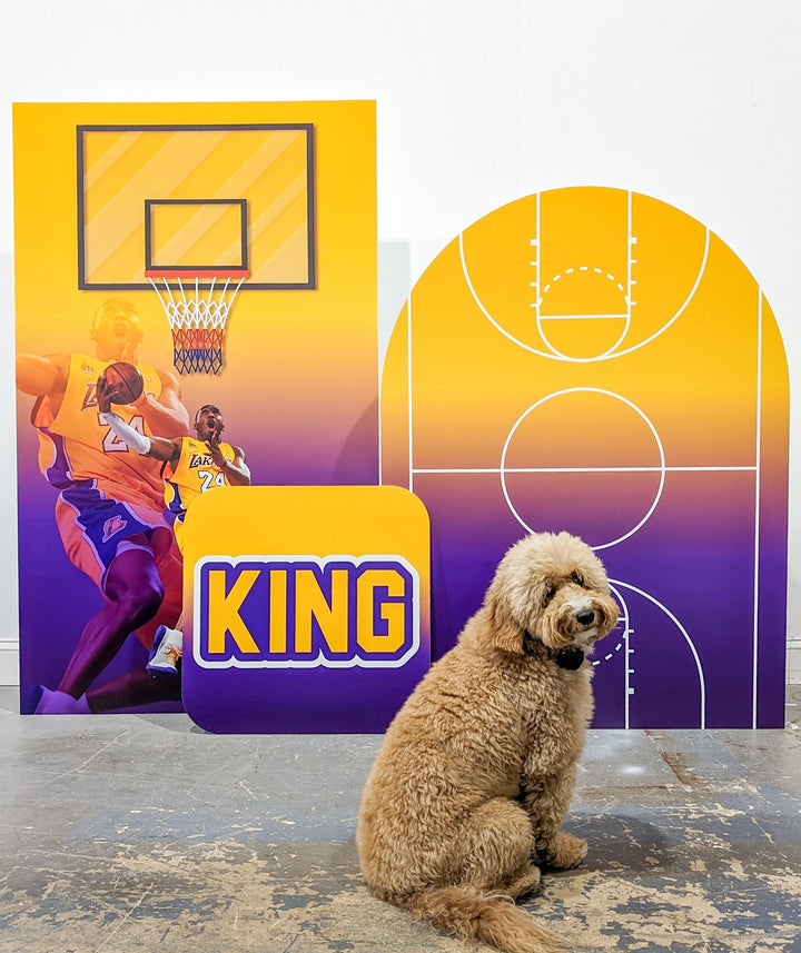 Basketball Theme Party Backdrops,Cut Out. Background. Slam, Dunk, LeBron James, Kobe inspired Backdrop,Items sold Separately